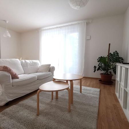 Gemuetliches Privatzimmer In Geraeumiger Gemeinschaftswohnung 德累斯顿 外观 照片