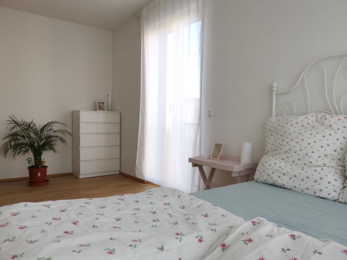 Gemuetliches Privatzimmer In Geraeumiger Gemeinschaftswohnung 德累斯顿 外观 照片