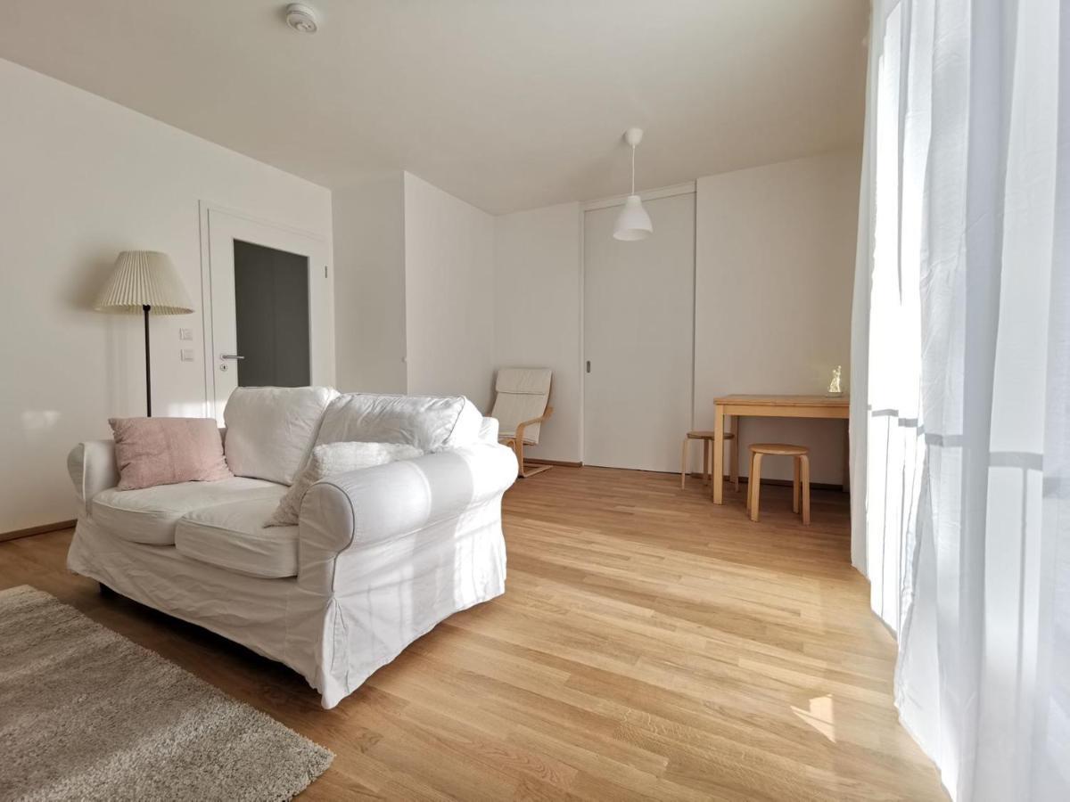 Gemuetliches Privatzimmer In Geraeumiger Gemeinschaftswohnung 德累斯顿 外观 照片